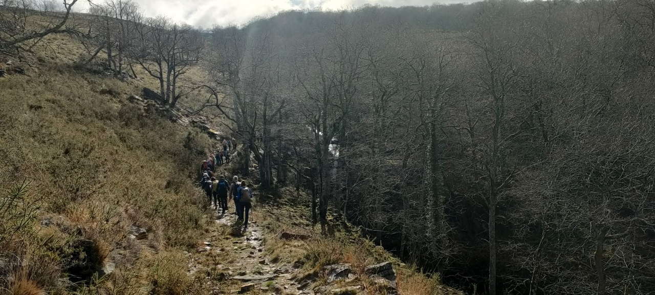 WhatsApp Image 2026-03-08 at 21.27.48 (3)